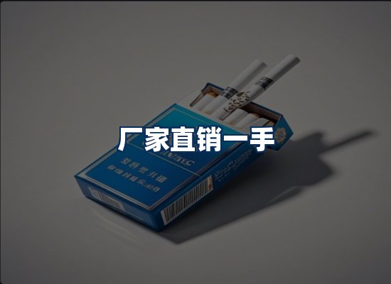 专业团队办公环境